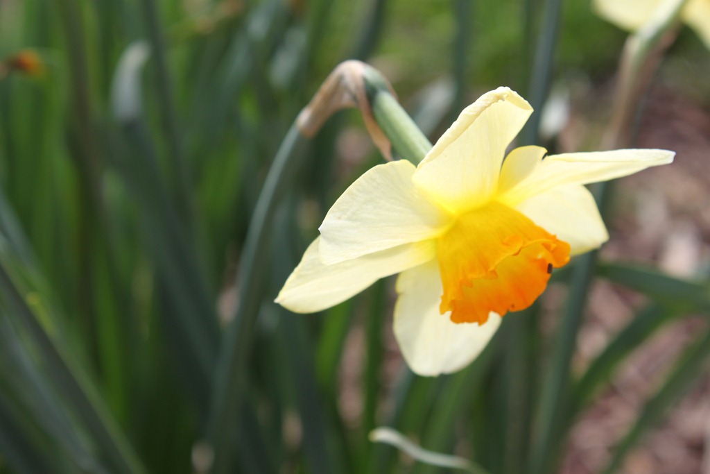 [IMG_2206%255B4%255D.jpg]