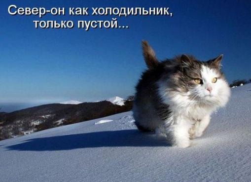 [81dde44d81fa06d0e79120fadba_prev%255B3%255D.jpg]