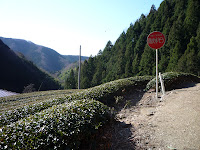 P1100732.JPG Photo