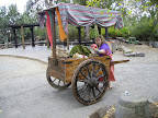 IMGP0307.JPG