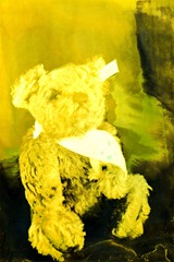 Split-Toned-Prints---Bears-1-J