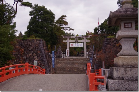 IMGP3704 IMGP3704