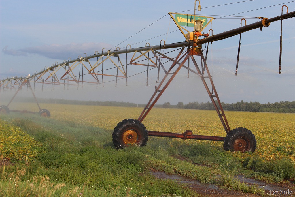 [irrigator%2520in%2520the%2520bean%2520field%255B9%255D.jpg]