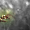 DSC_5647.jpg