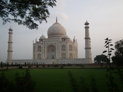 Taj-6