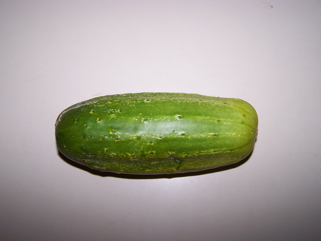 [100_9742%255B3%255D.jpg]