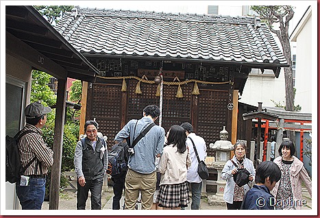 IMG_3250 IMG_3250