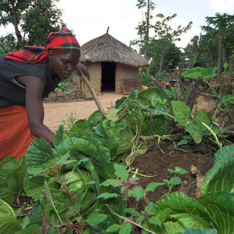 Bunyole Goat Farmers / Chritina Nagudi /Uganda