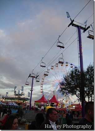 DSC06325 DSC06325