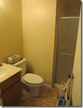 14 downstairs bathroom