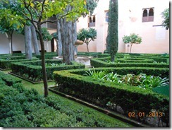 DSCN1659 DSCN1659