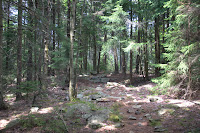 _DSC0053.jpg Photo _DSC0053.jpg Photo