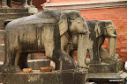 Two elephants