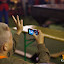 sorfesztival2011_26.jpg
