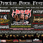 0043 - Otacílio Rock Festival (Otacílio Costa - SC).jpg