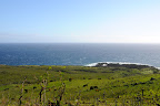 DSC_6154.JPG