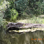 DSCN8313.JPG