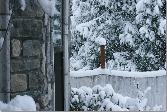 snow days1