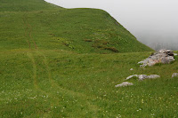 DSC_5777.JPG Photo