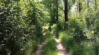 Morava 003.jpg Photo Morava 003.jpg Photo