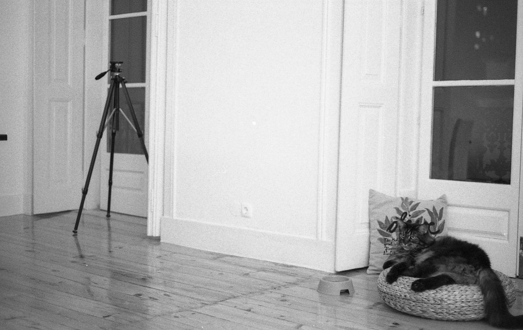 [img295%255B2%255D.jpg]