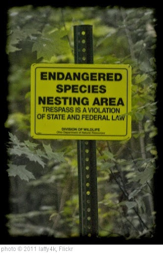 'Clear Fork Reservoir: Endangered Species Nesting Area' photo (c) 2011, laffy4k - license: https://creativecommons.org/licenses/by/2.0/