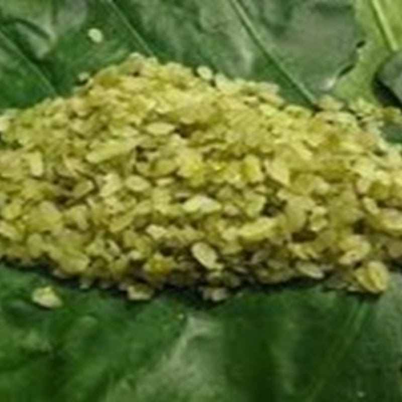 Phát hiện cốm có sử dụng hóa chất bị cấm