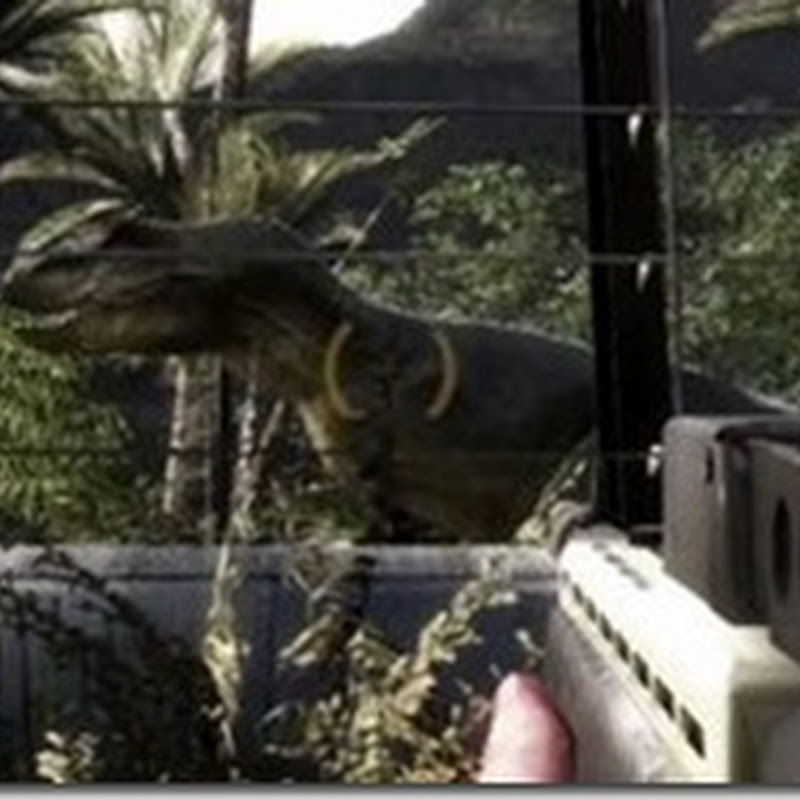 Jurassic Life ist ein Jurassic Park Spiel in der Half-Life Engine