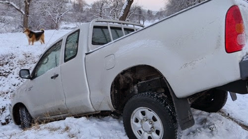 was the dog the driver? pickup truck + ditch + winter = accident