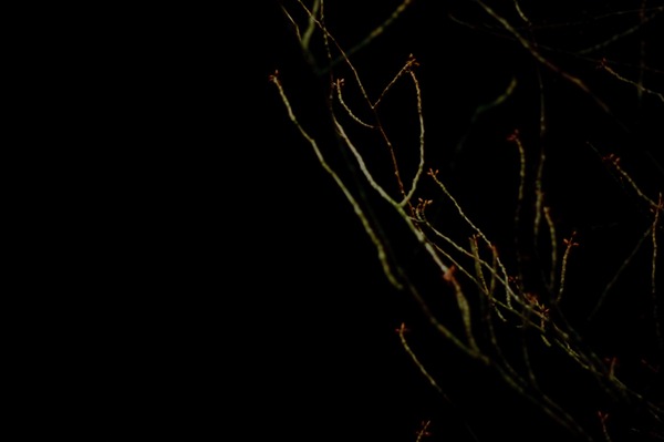 [DSC_9630%255B2%255D.jpg]