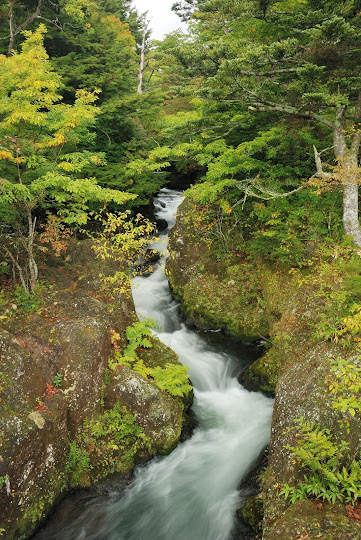 竜頭の滝上流