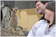 [image%255B25%255D.png]