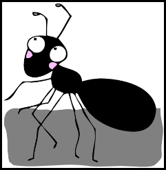ant ant