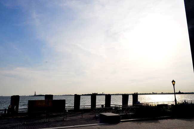 DSC_0874 DSC_0874