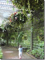 Chicago Botanic Garden 039