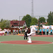 majus 555.jpg