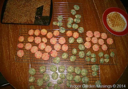 IMG_4349 (Small) IMG_4349 (Small)