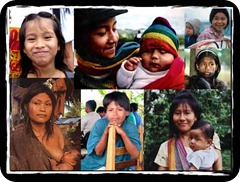 pueblos_originarios pueblos_originarios