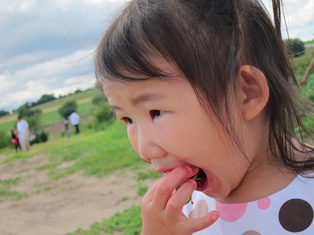 [IMG_0620%255B3%255D.jpg]