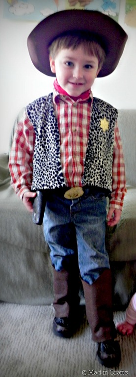 [homemade-Woody-costume3.jpg]