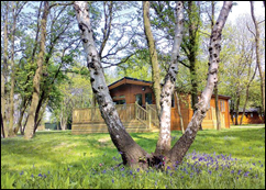 Romantic Lodge Holidays