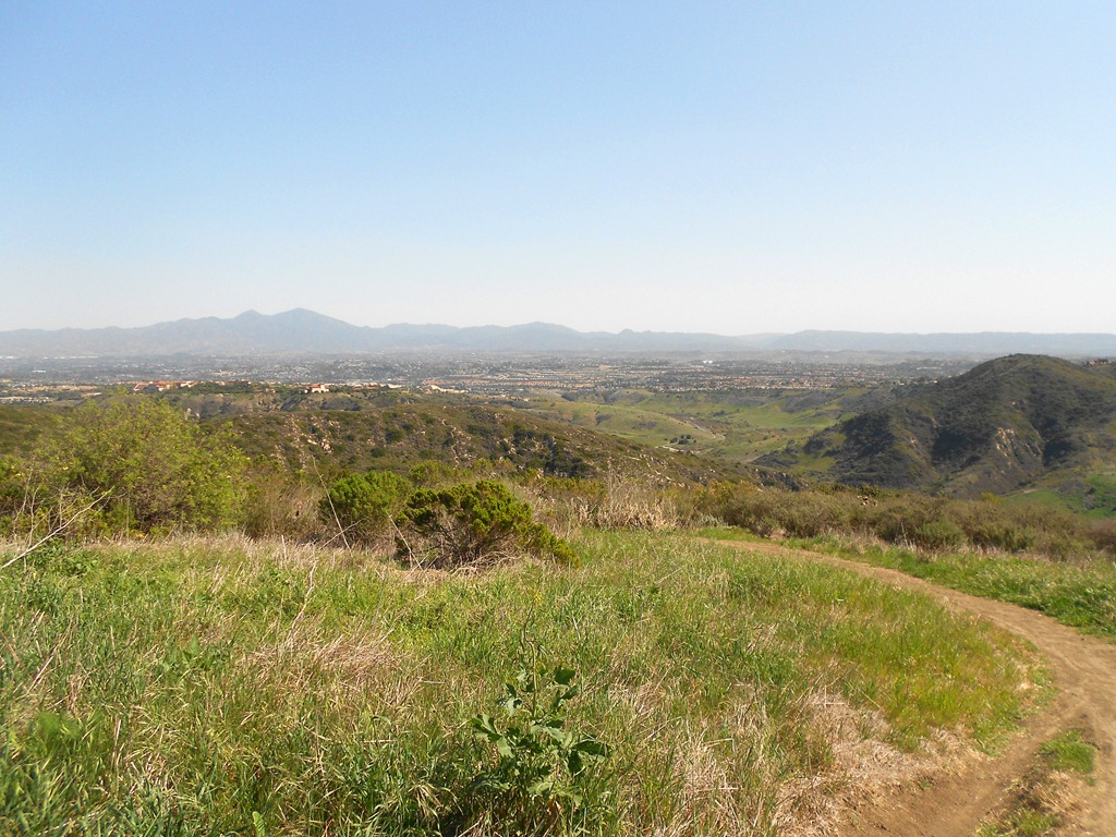 [DSCN29014.jpg]