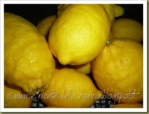 Ciambella semintegrale al profumo di limone (0)