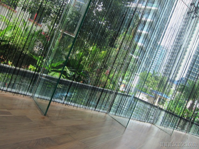 [IMG_5187%255B2%255D.jpg]