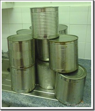 Tin can planters