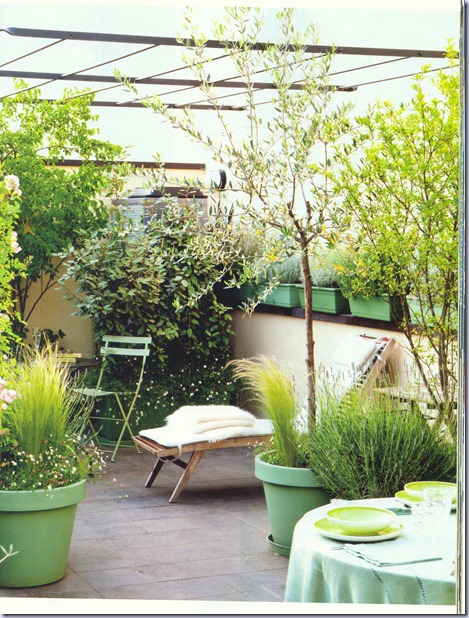 Immagine 3 Immagine 3