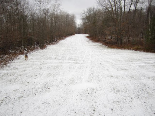 Bottom of Suicide hill before more snow falling later