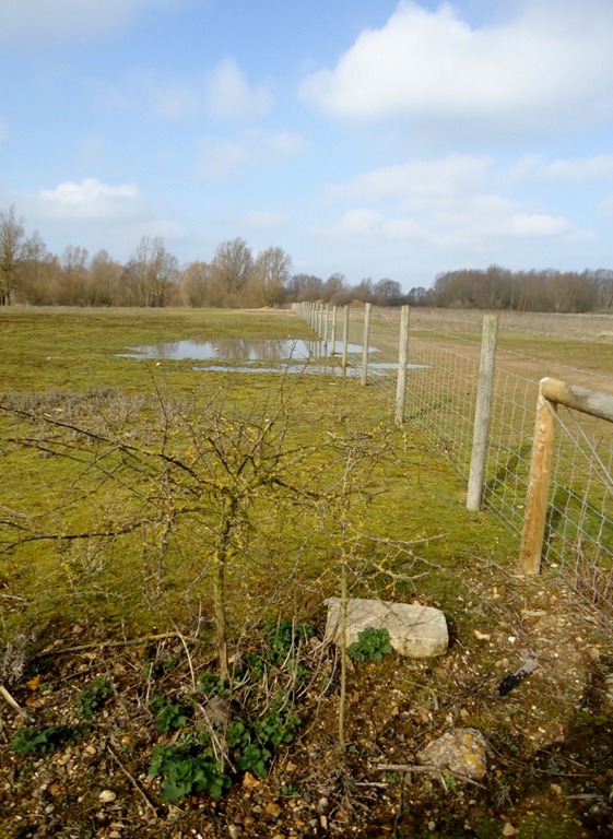 [Fen%2520Drayton%2520Lakes%252002%255B8%255D.jpg]