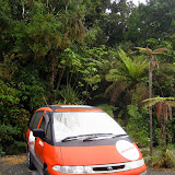 South Island - Franz Josef Gacier