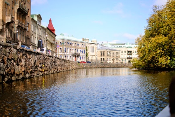 DSC_0241.JPG DSC 0241